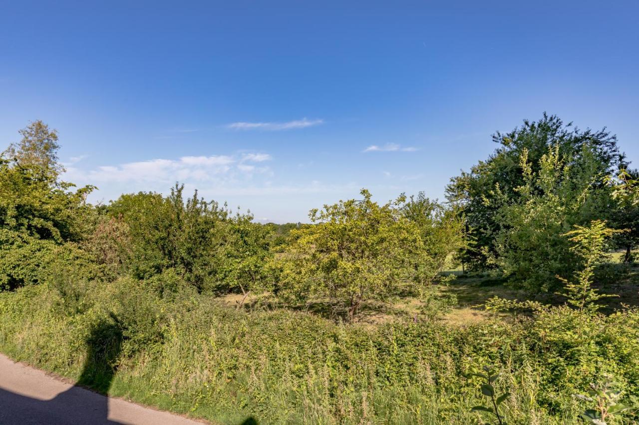 Danny Lodge - Country Cottage Near Brighton By Huluki Sussex Stays Hurstpierpoint Εξωτερικό φωτογραφία
