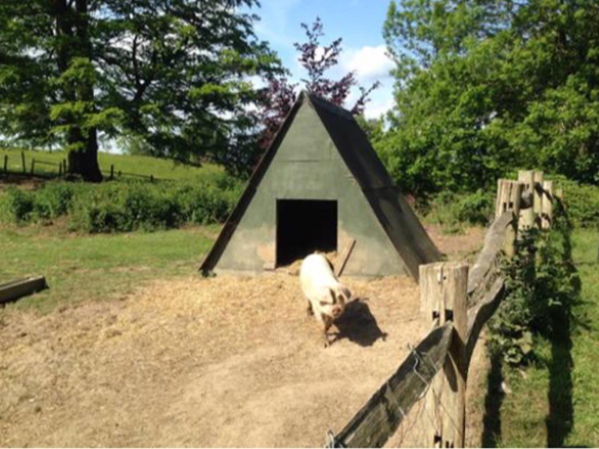 Danny Lodge - Country Cottage Near Brighton By Huluki Sussex Stays Hurstpierpoint Εξωτερικό φωτογραφία